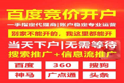 某行业SEM竞价专员的成功策略与经典案例